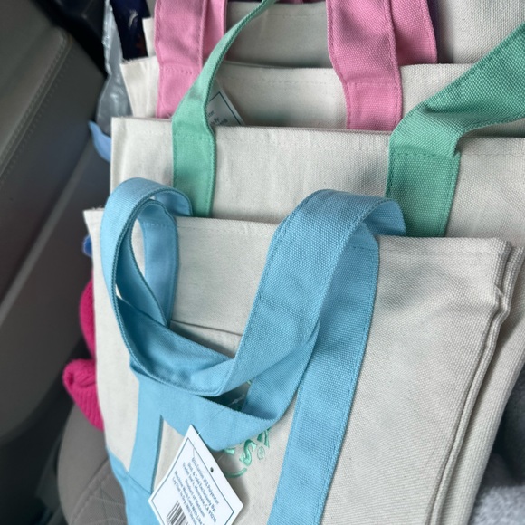Trader Joe’s Spring Color Mini Totes Set of 4